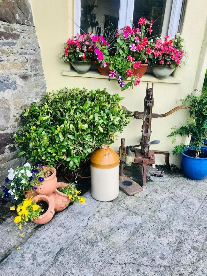 The Tower House B&B Thomastown (Kilkenny) Exterior foto