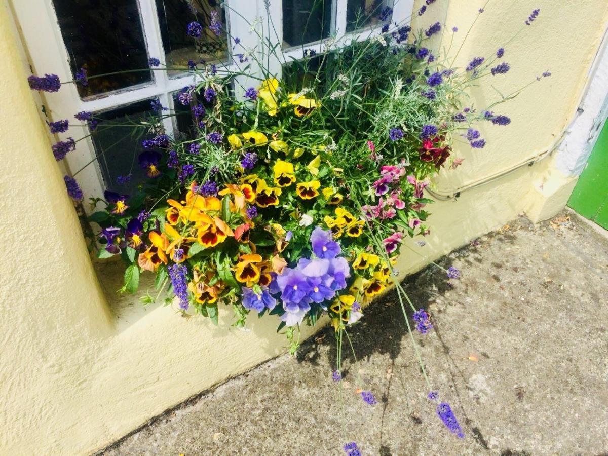 The Tower House B&B Thomastown (Kilkenny) Exterior foto